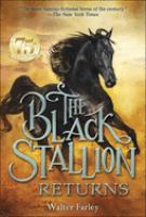 The_black_stallion_returns